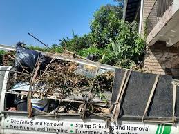 Best Hoarding Cleanup  in Mission, OR